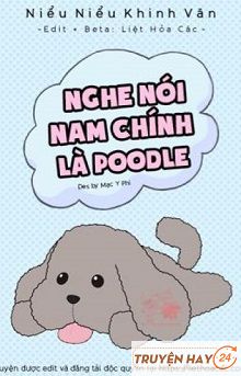 Nghe Nói Nam Chính là Poodle