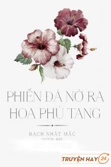 Phiến Đá Nở Ra Hoa Dâm Bụt