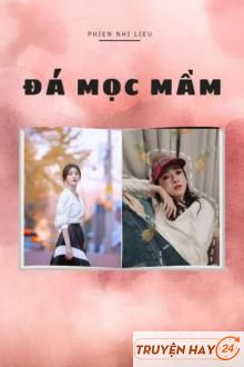 [Tam Tiếu] Đá Mọc Mầm