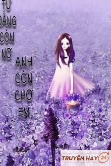 Tử Đằng Còn Nở Anh Còn Chờ Em