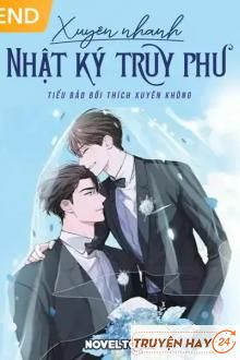 Xuyên Nhanh Nhật Ký Truy Phu