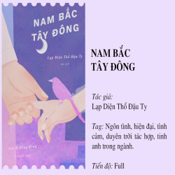 Review Truyện Nam Bắc Tây Đông